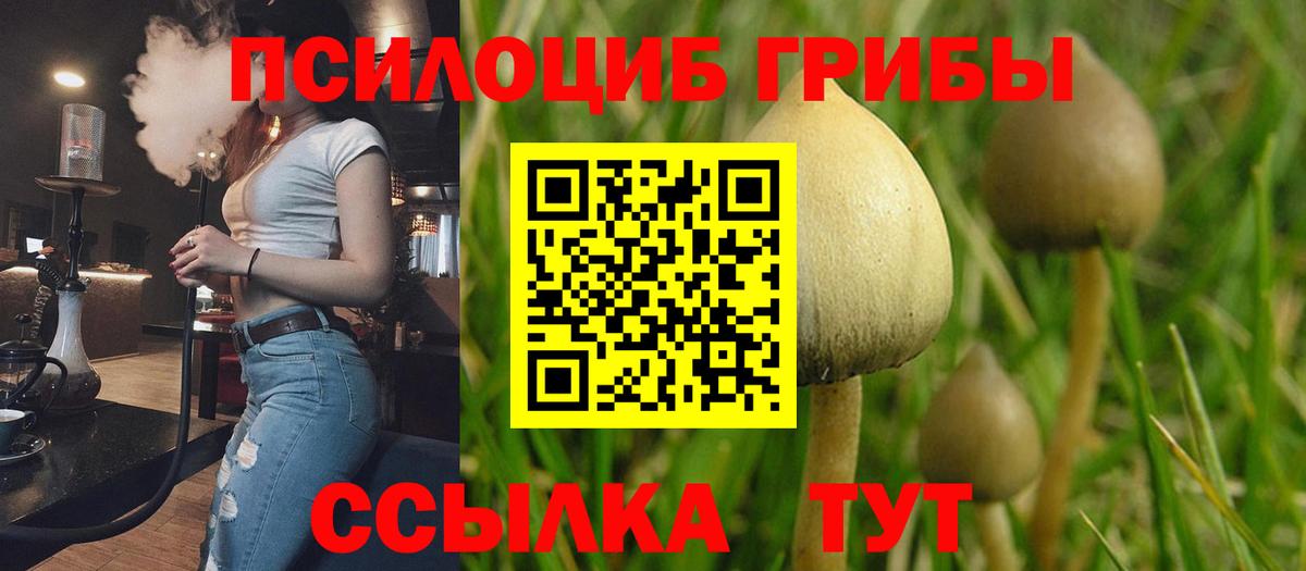 Жигулёвск  Псилоцибиновые грибы мицелий  Вход с VPN 